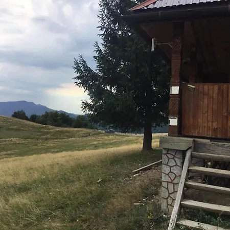 роза вітрів намбер три